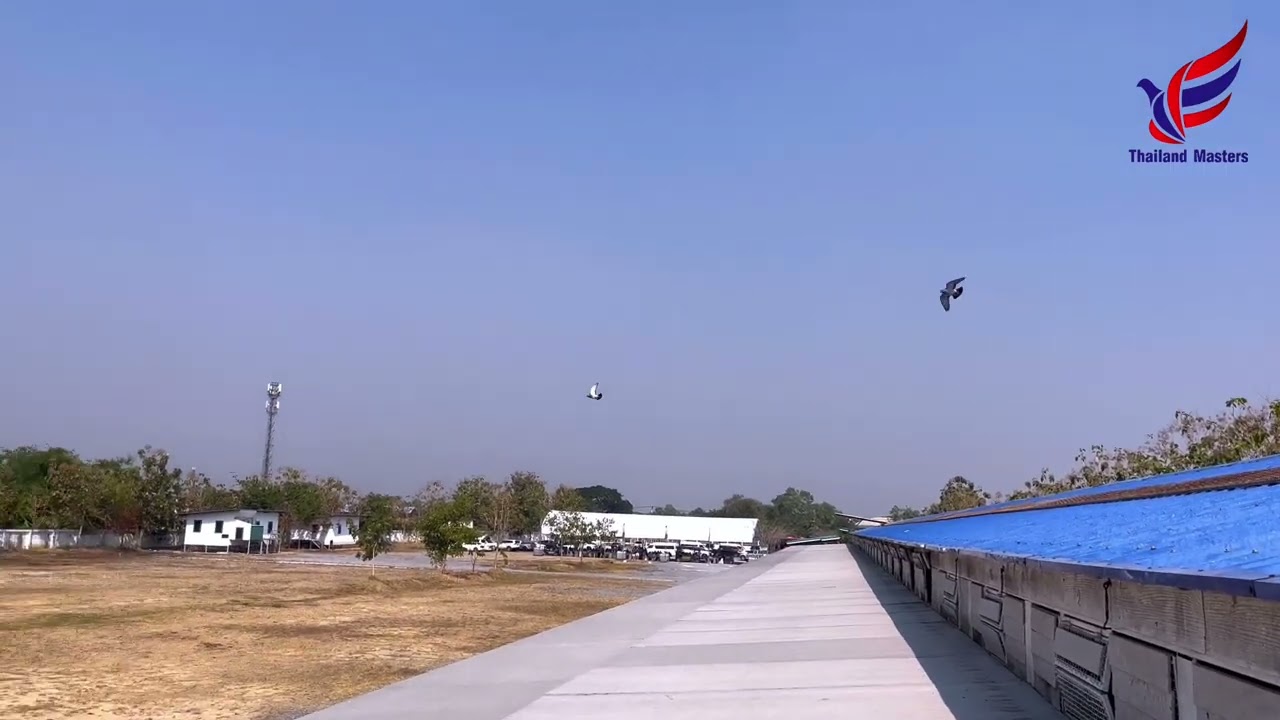 500 Km - Final Race
