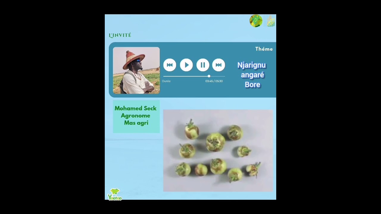 YEETEE njarignu angaré Bore