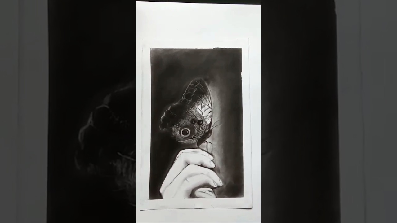 Butterfly In Hand Charcoal Pencil Drawing | Realistic Drawing |