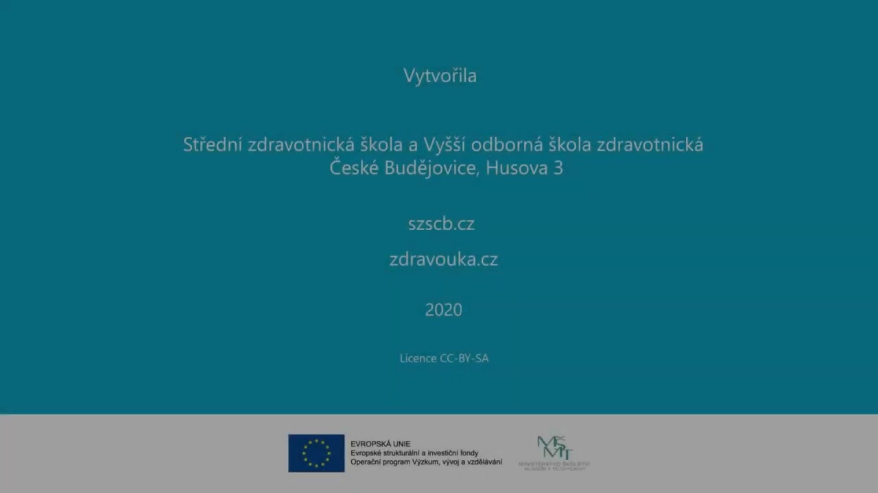 77 - Lymfatické masáže I