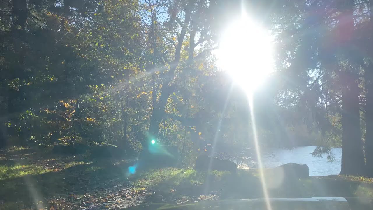 Herbst im Solling , Oktober 2024