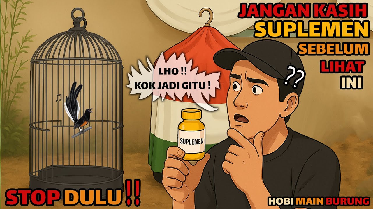 Fakta Suplemen Murai Batu : Seberapa  Penting? Apa Efeknya ?