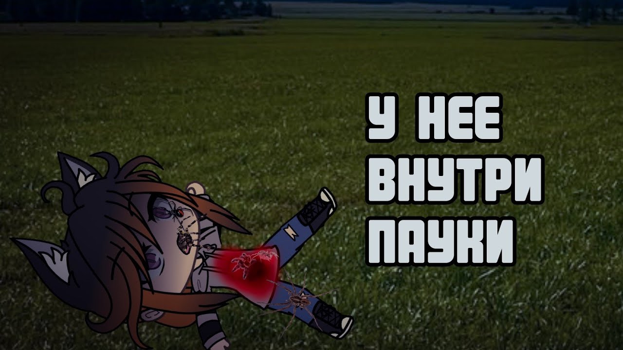 У нее внутри пауки... / Gacha life страшилка 