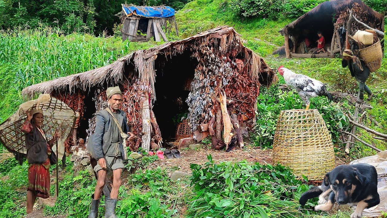 Life in himalayan village during the rainy season | Most beautiful himalayan village life |