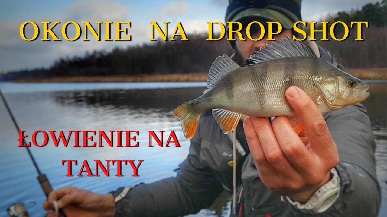 NAUKA ŁOWIENIA NA DROP SHOT / SPINNING W GRUDNIU 2021 / SUKANIE OKONI PÓŹNĄ JESIENIĄ