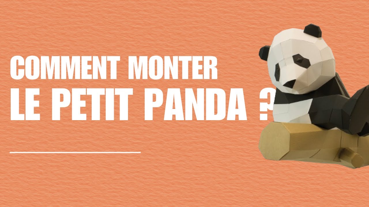 Montage du panda sur branche
