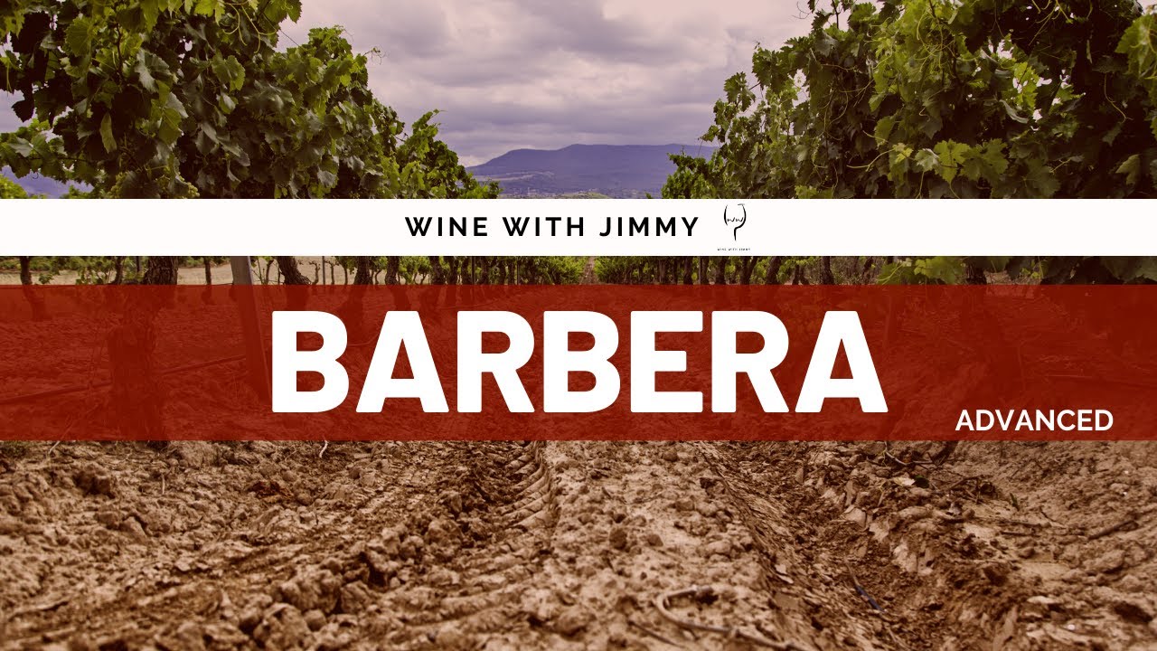 Wine Grape Varieties: Barbera - Advanced Version ideal for WSET Level 3 and Level 4 (Diploma)