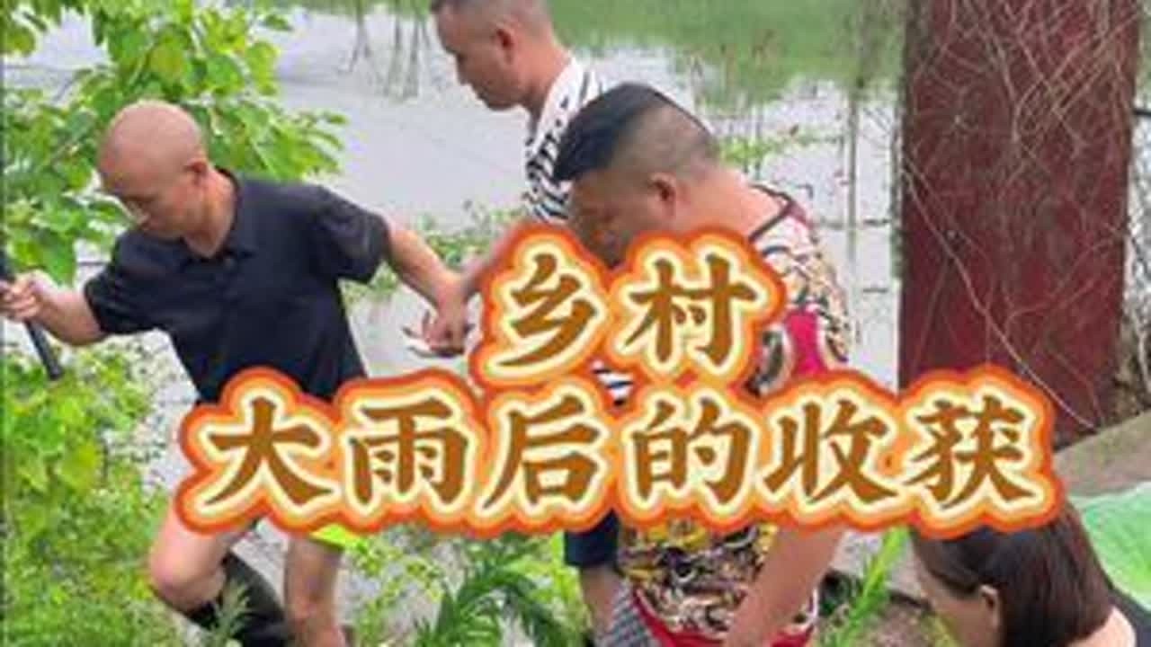 还记得从前大雨后的农村田间地头吗……#新农人计划2025 #把农村的日子过得有声有色 #原创作品 #桂圆山莊 #三哥和芬姐乡村生活