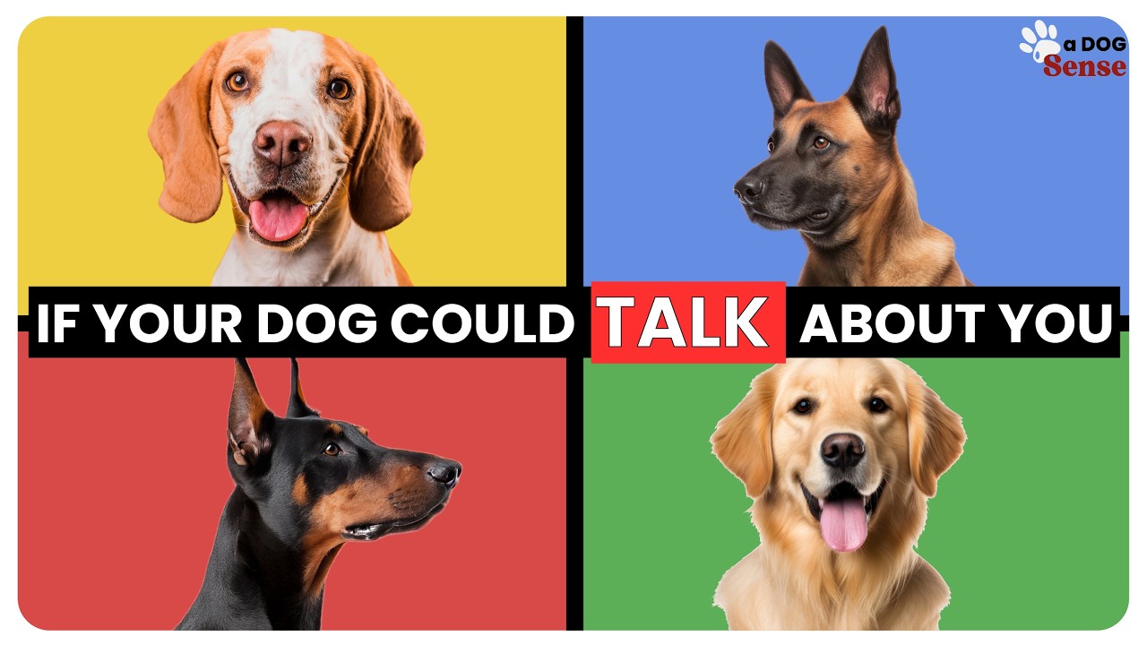 What Your Dog's Breed Says About You | Psychology Explained