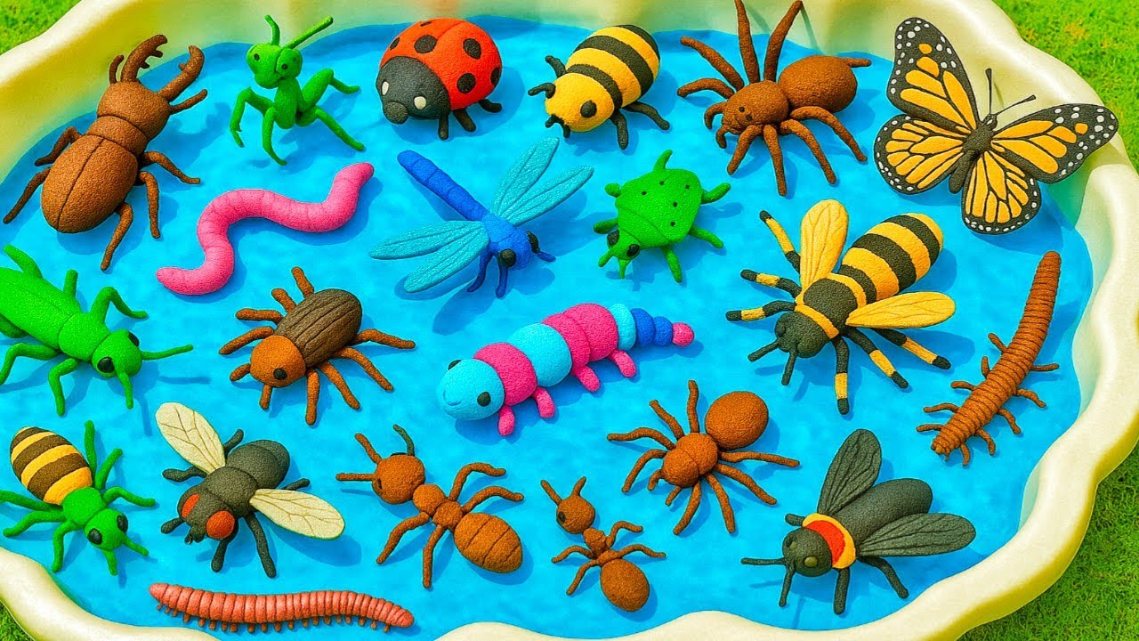 Kids Learn | Bug & Insects for Kids  | Learn Bug and Insect Name |  Bug Names For Preschool Kids