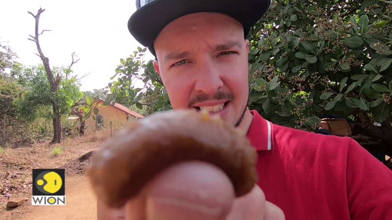 WION Traveller S2 Episode 25 – Verlem: Goa's secret hill-station