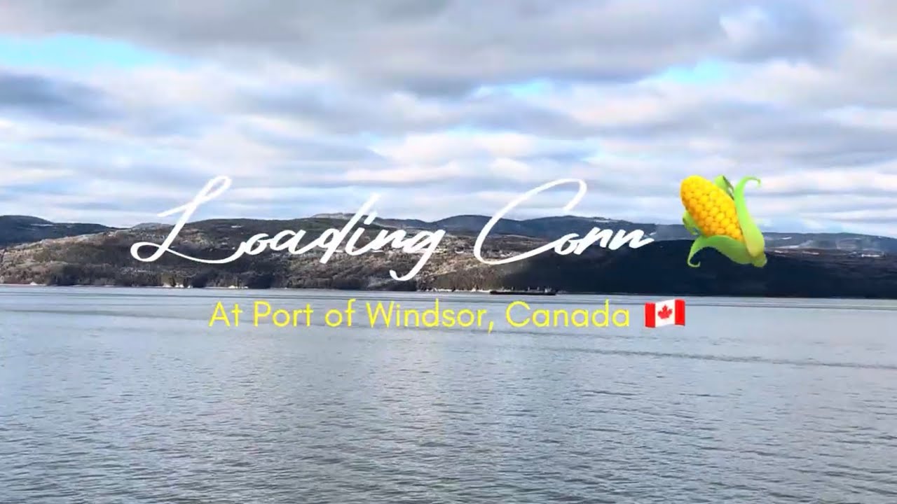 Loading Corn in Ship at Windsor Canada 🇨🇦 | Ship Vlog 🚢 