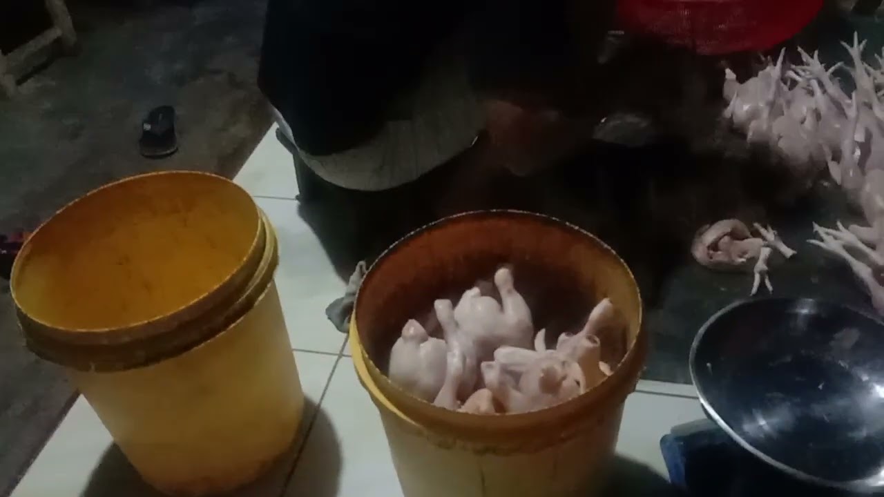 PERJUANGAN SEORANG PEDAGANG AYAM POTONG