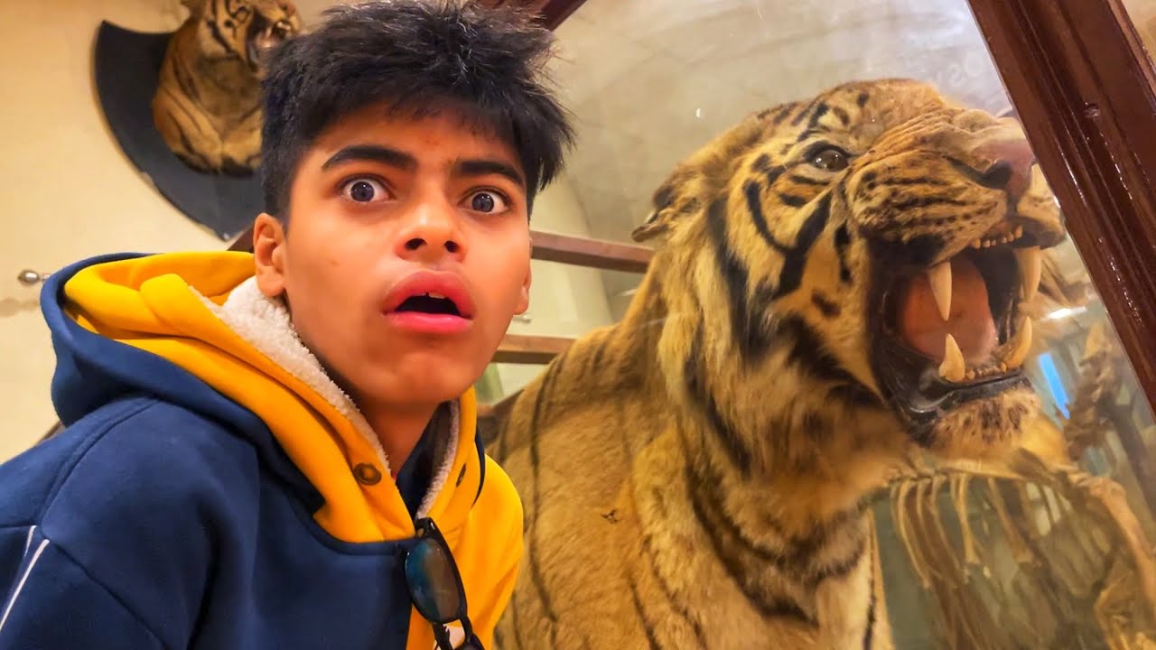 Dead Tiger Ko Iss Museum Mein Zinda Rakha Hua Hai 😱 *SHOCKING REACTION*