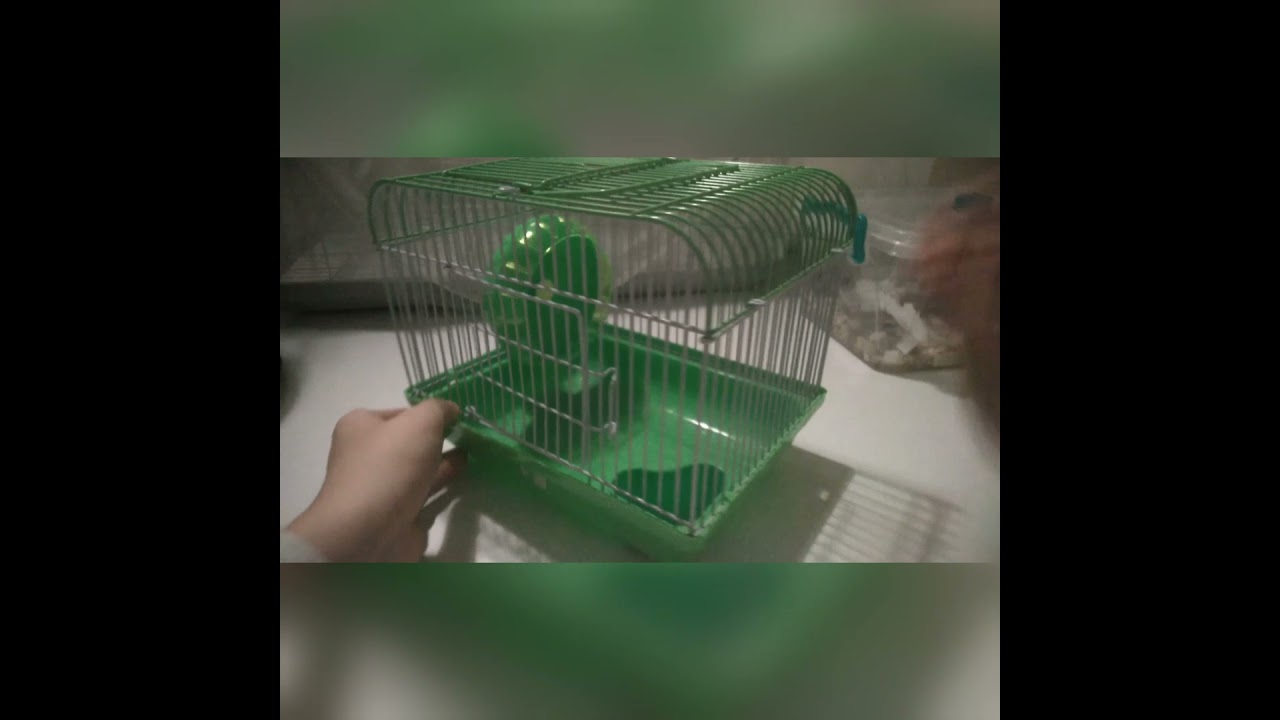 Hamster kafesi incelemesi