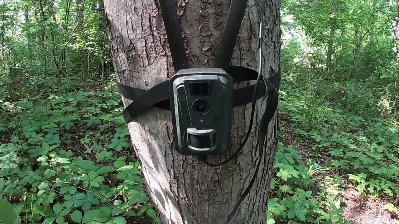 AXB Trail Cam Polka Alarm for The Hunting Farmer!
