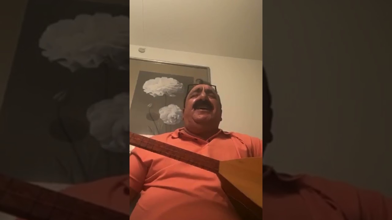Miço secilmis
