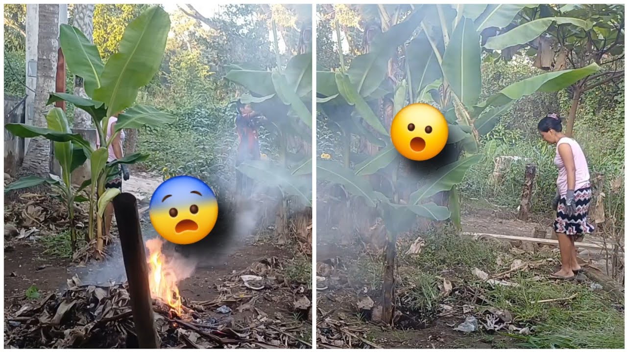 🚨No puede ser esto está muy feo😱seguimos limpiando se pasan de veras 😳😡.