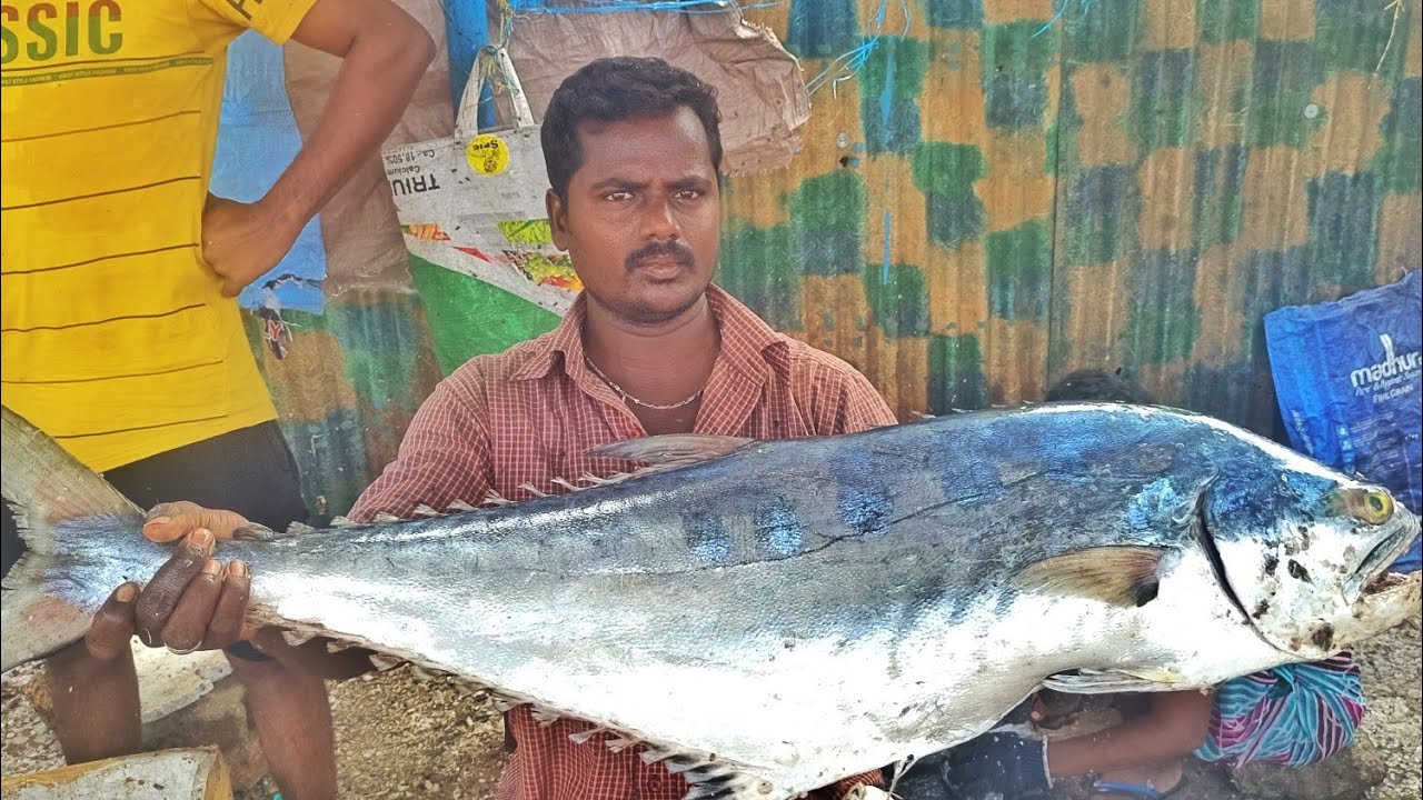 |KASIMEDU SKIN TREVELLY SKIN REMOVE|#fastfishcutting#bigfishcutting #youtube|🔪