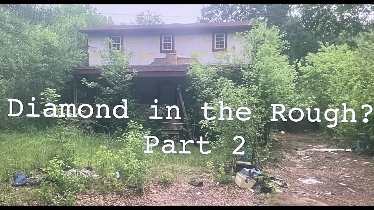 Home Renovation 9 Years Overdue!  Diamond in the Rough Part 2