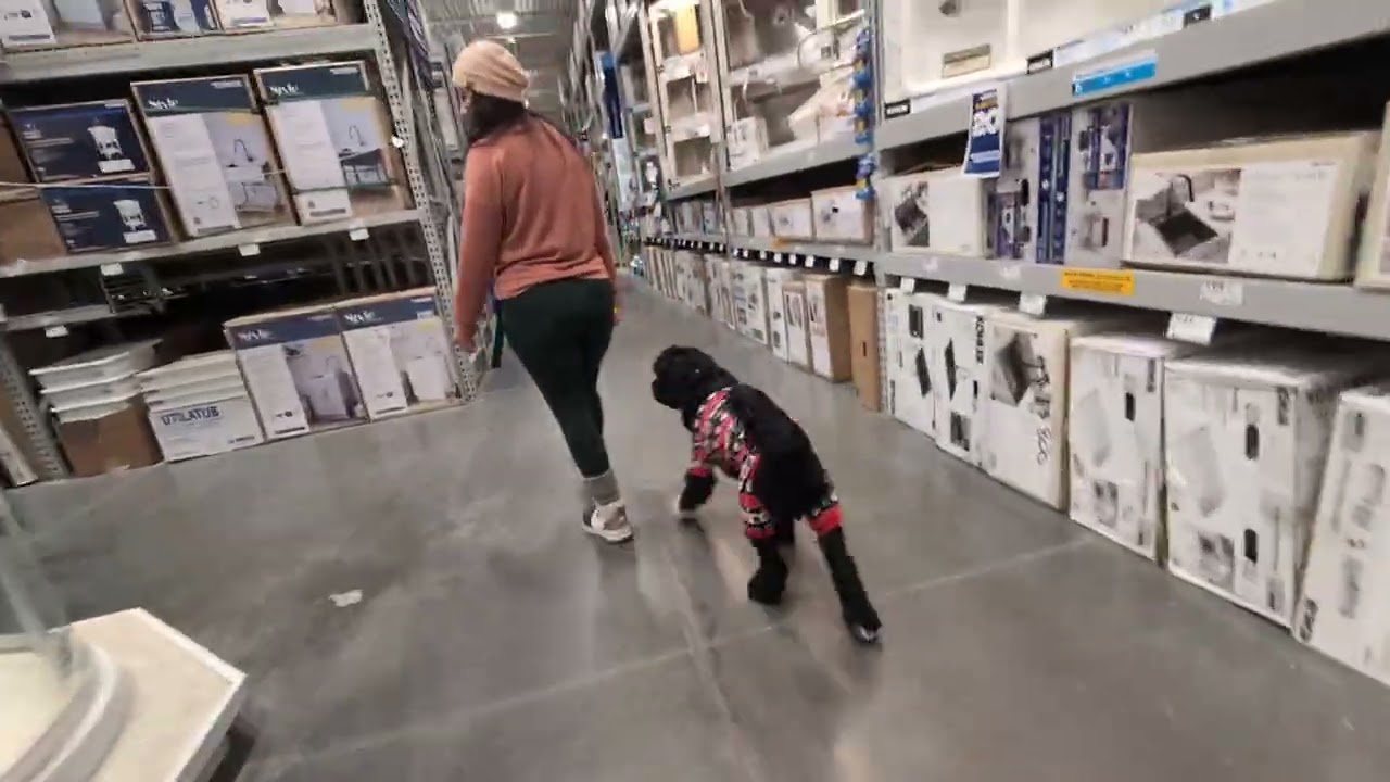 Van at Lowe's *no sound*