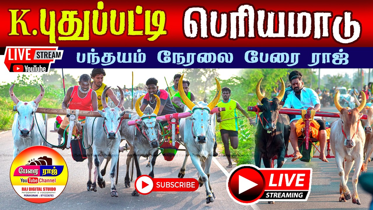 🛑LIVE கே.புதுப்பட்டி பெரியமாடு (25.02.2023) நேரலை பந்தயம்