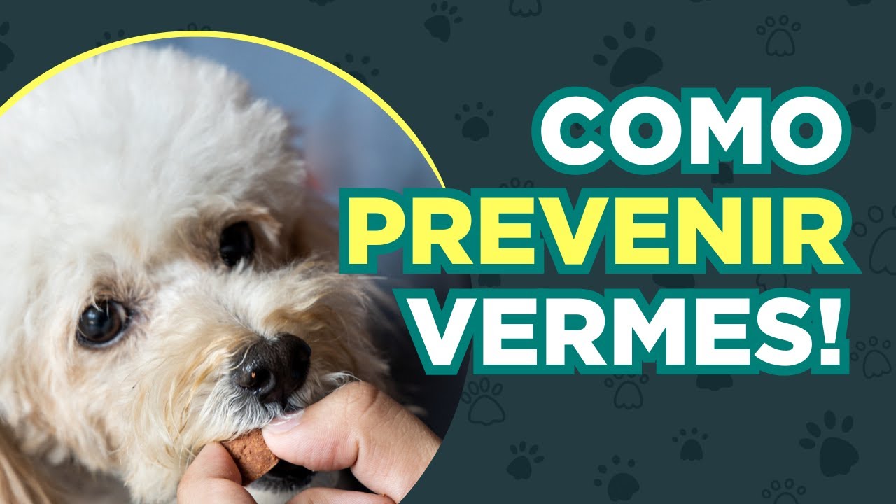Como proteger o seu pet contra as VERMINOSES!