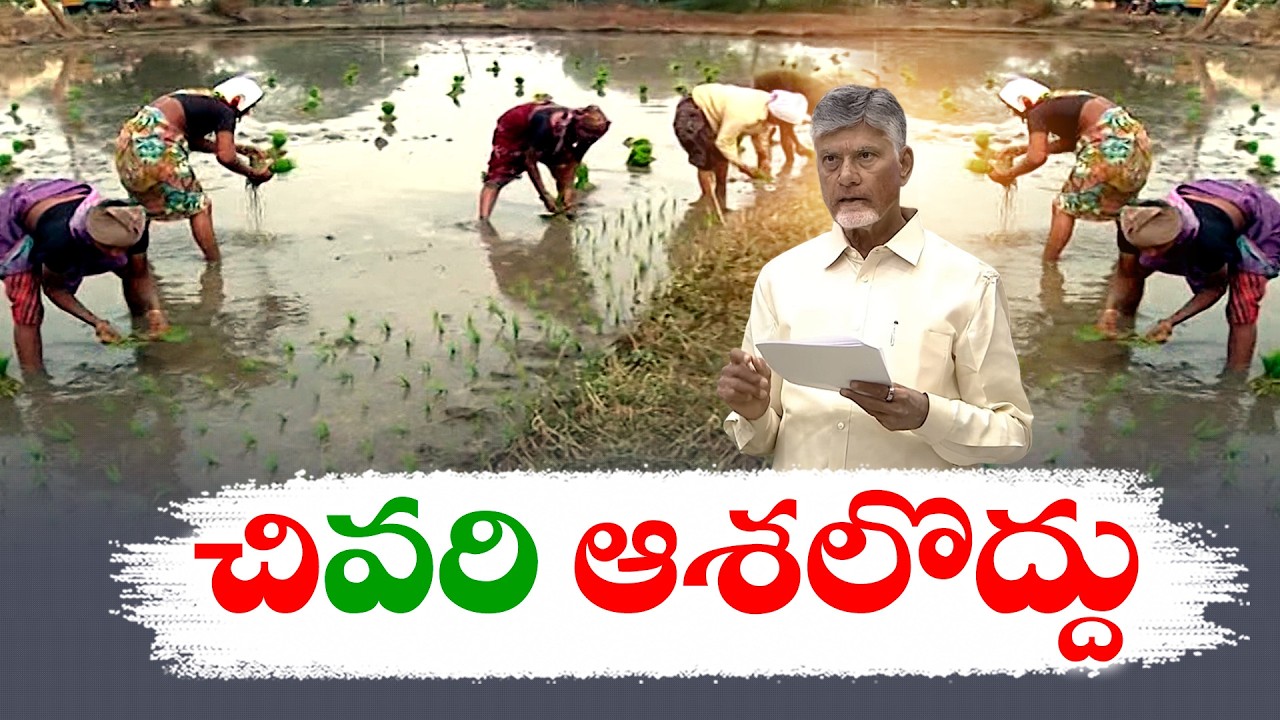 నీటి లభ్యత తక్కువ.. వరి వేస్తే ఇబ్బందులే | చంద్రబాబు