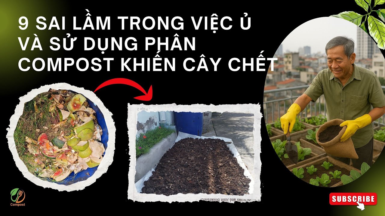 9 Sai Lầm Trong Việc Ủ Và Sử Dụng Phân Compost Khiến Cây Chết
