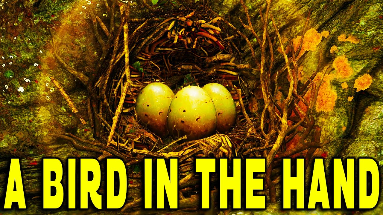 HOGWARTS LEGACY - A BIRD IN THE HAND GUIDE