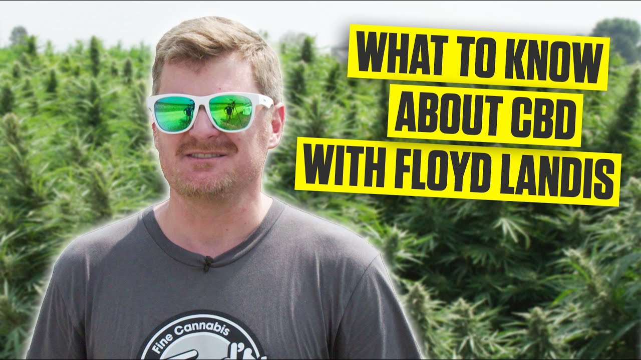 Why Floyd Landis Got into the CBD Industry | Bicycling Magazine