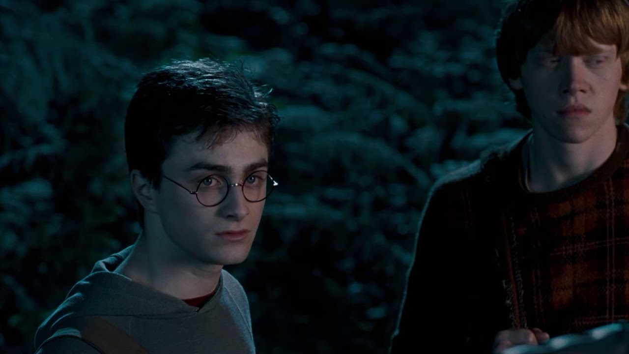 Introducing Luna Lovegood With Thestrals - Harry Potter And The Order Of The Phoenix