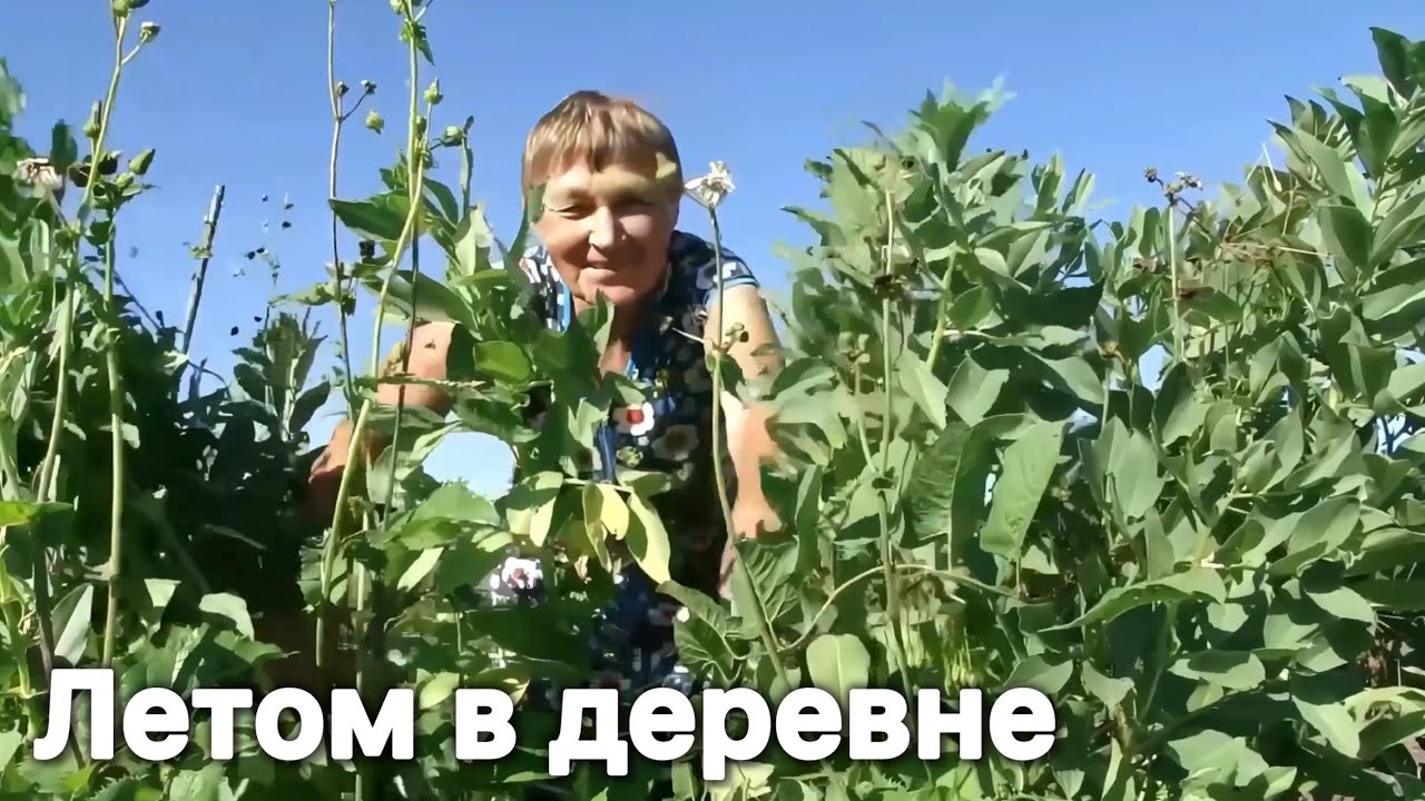 ЛЕТО В ДЕРЕВНЕ НА УРАЛЕ.