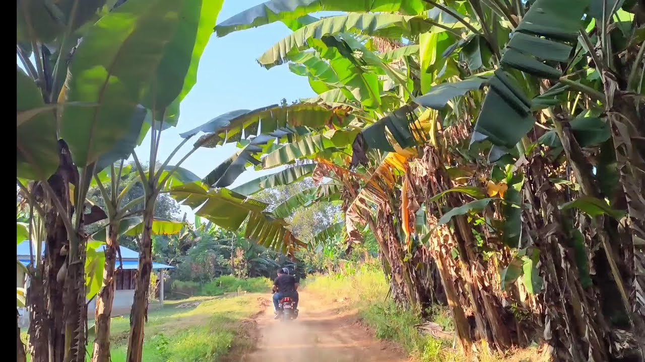 Narayanghat -Gaidakot -Tanahu-Narayanghat ~~~a short trip with brothers 