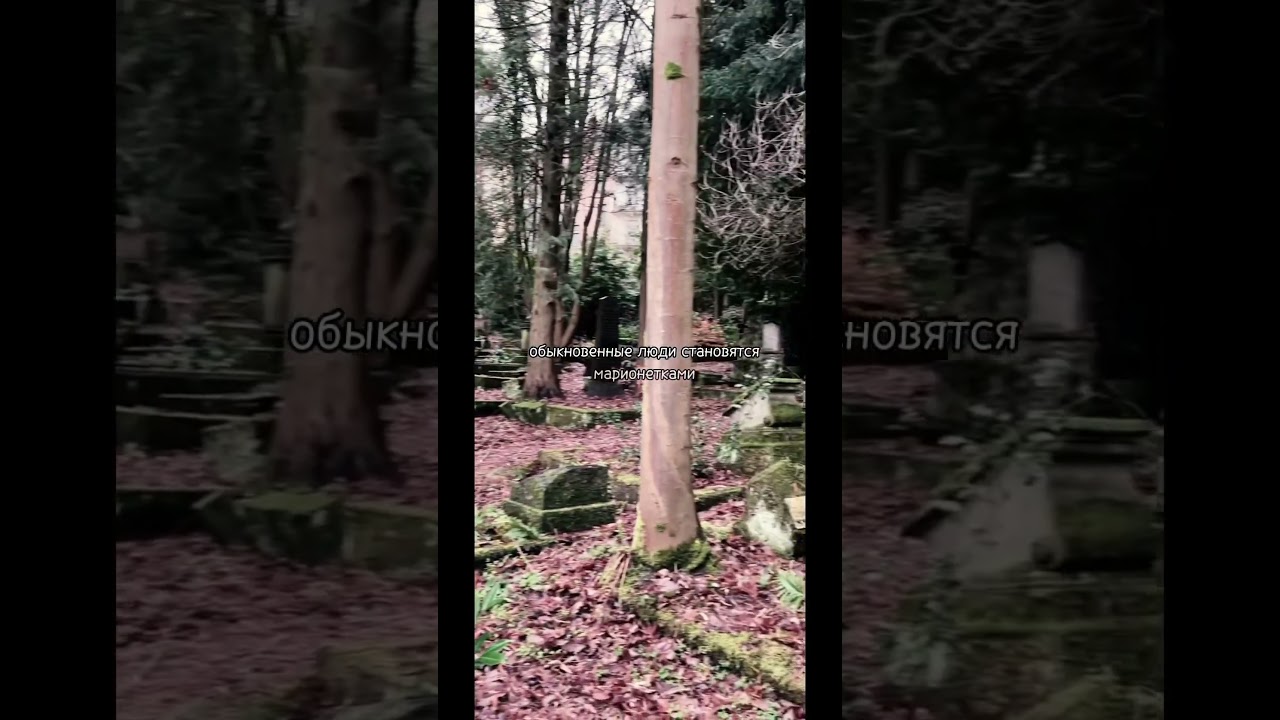 Первый и главный сатанинский грех. Подпишись! #сатанизм #магия #лавей