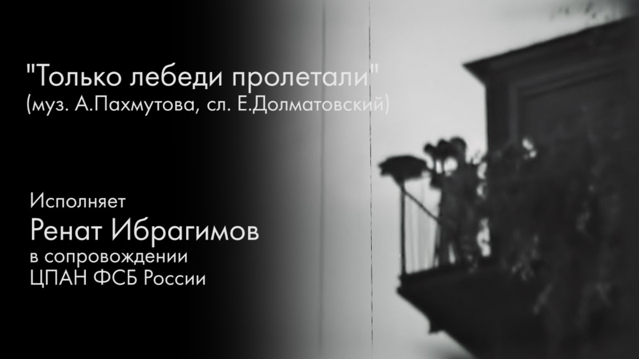 Только лебеди пролетали / 2011 год