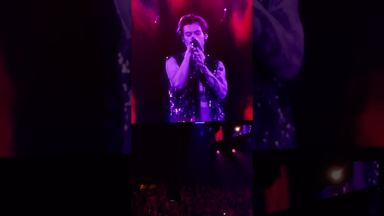 Harry Styles Love on Tour Opening Night Las Vegas - Woman