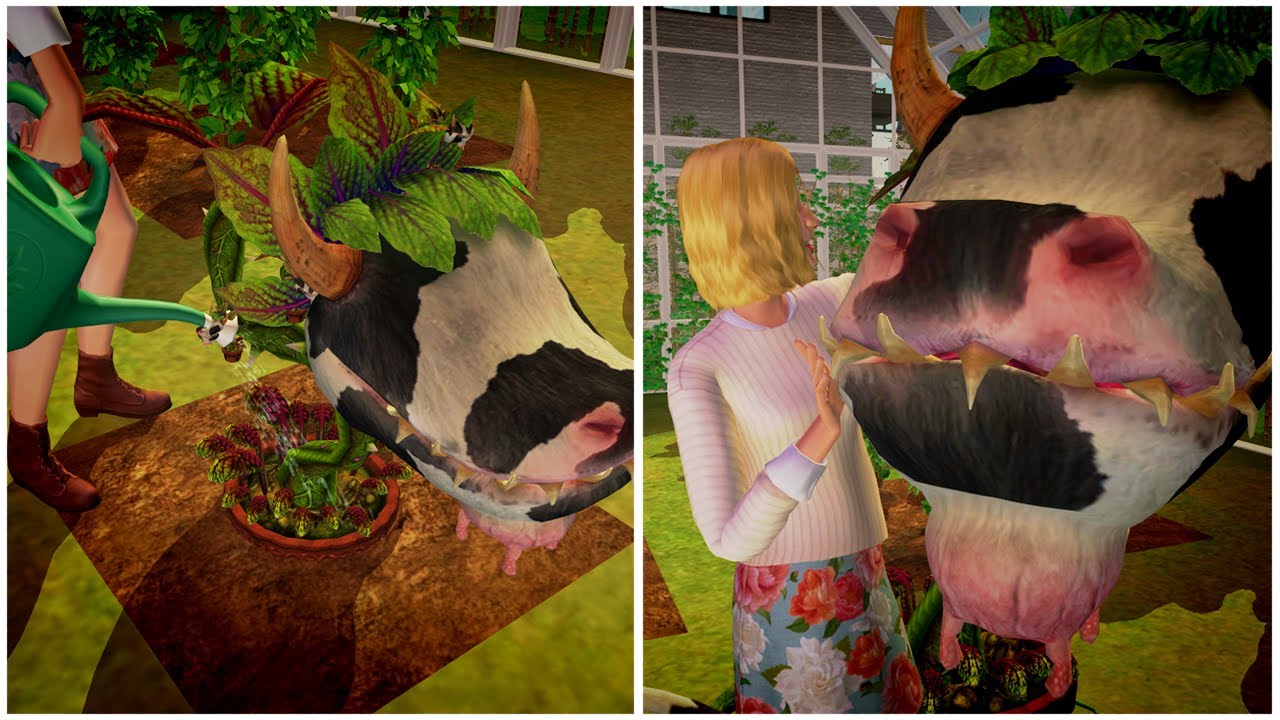 новые растения для The Sims 2 // Обзор на мод Supernatural Garden от Midge the Tree