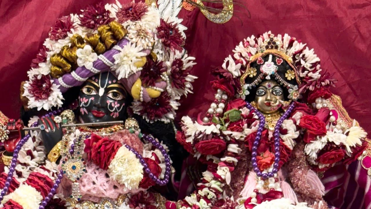 राधे राधे लाइव में सभी का स्वागत है🙏🏻