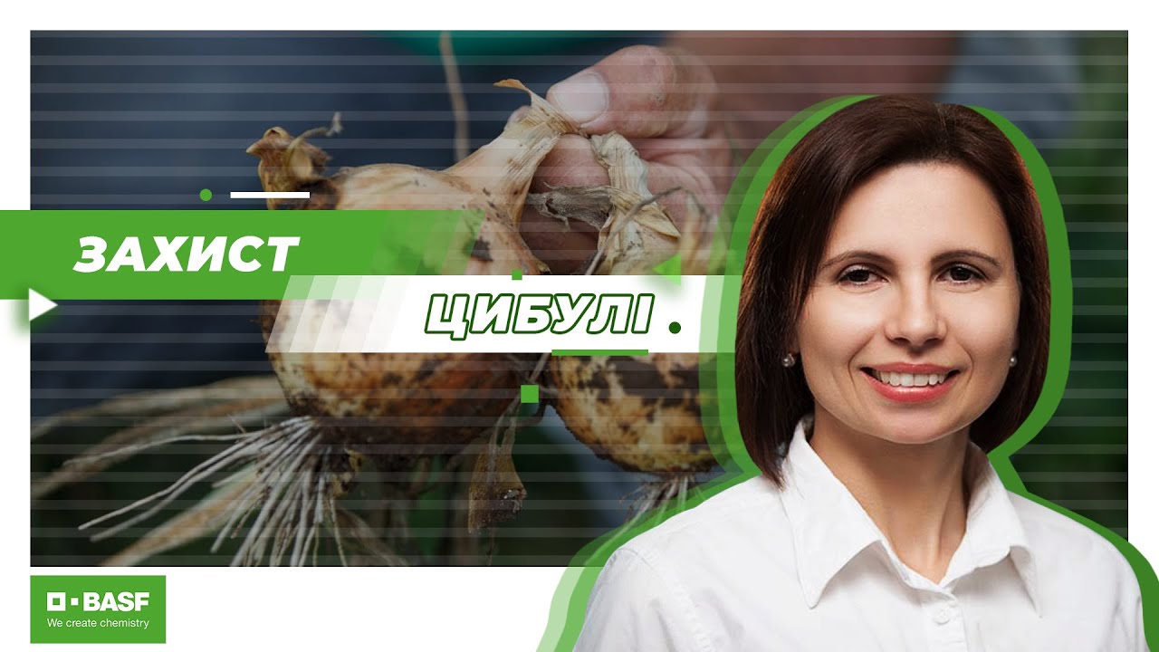 Важливі елементи захисту цибулі