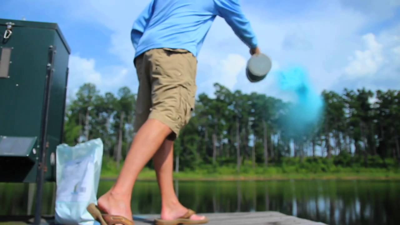 Growing Big Bass : Liquid Assets- The Management Advantage #7
