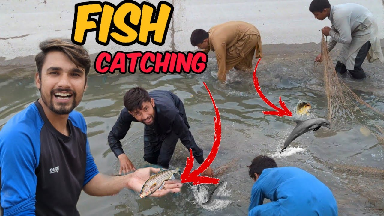 Full Masti 😍 Stream Pe Fish Catching Adventure
