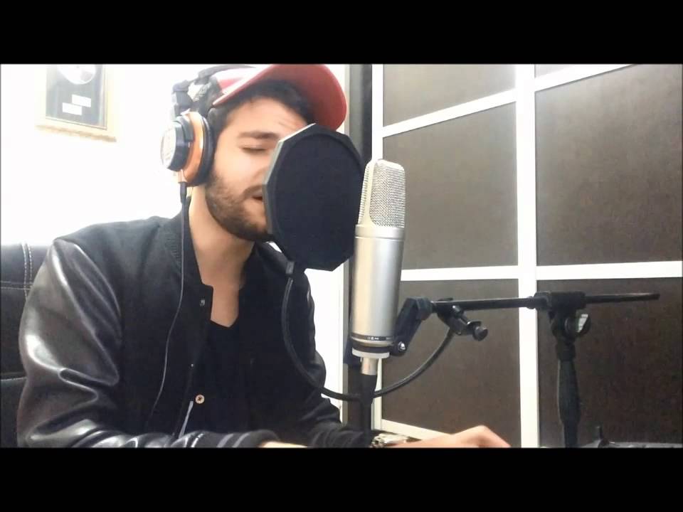 חיים איפרגן - ציפור קטנה