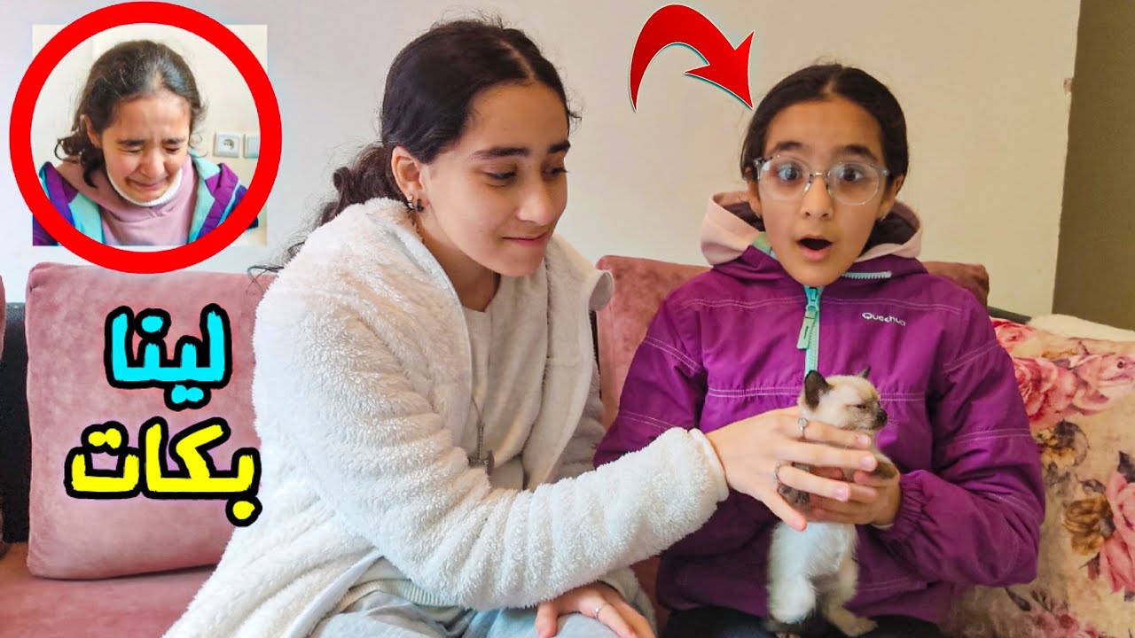 أكبر مفاجأة لينا بكات 😭(مؤثر)