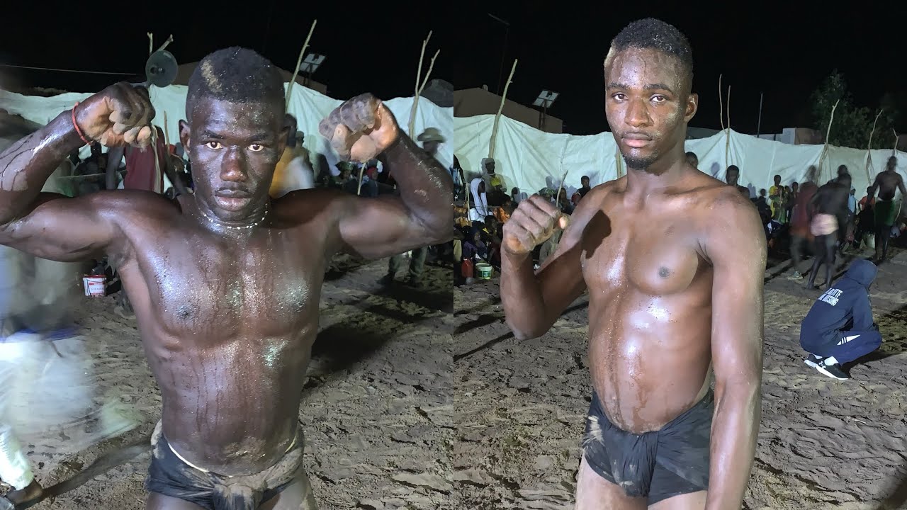Combat talibe vs mbine nombar à Lerane coly 