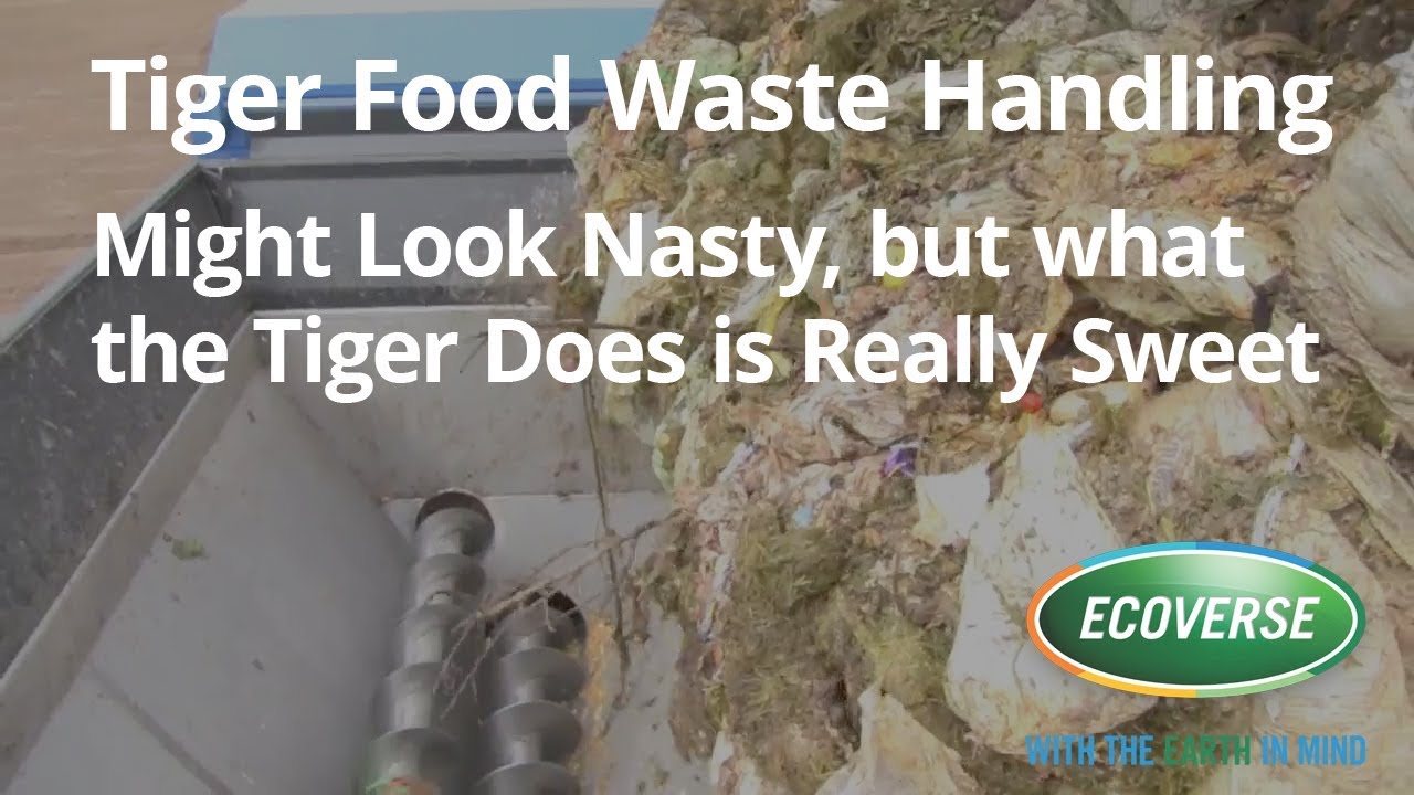 Tiger Turns Food Waste into Gold