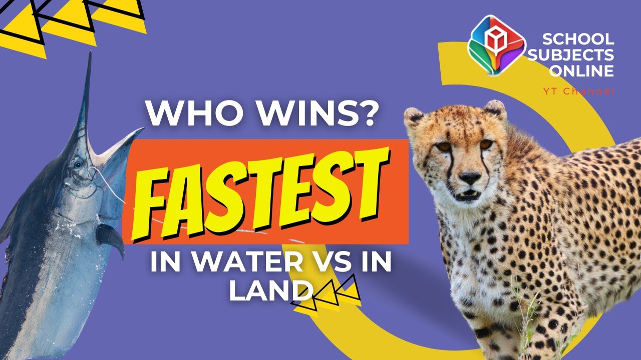 Fastest Animals, Water versus Land