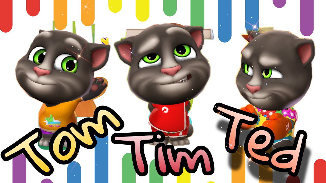 Tom Tim Ted Day 1🗓️|| Talking Tom2😍