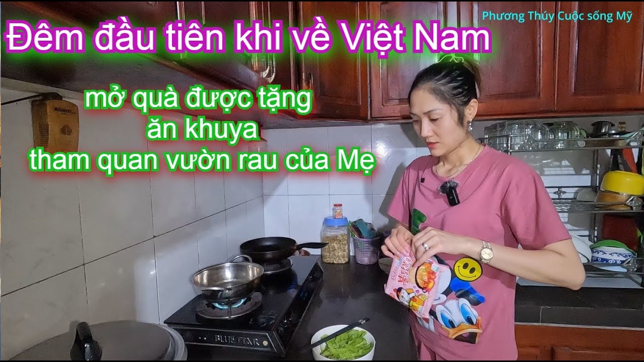 ĐÊM ĐẦU TIÊN KHI VỀ VIỆT NAM(2025)_Mở quà mấy đứa cháu tặng,ăn khuya,tham quan vườn rau của Mẹ