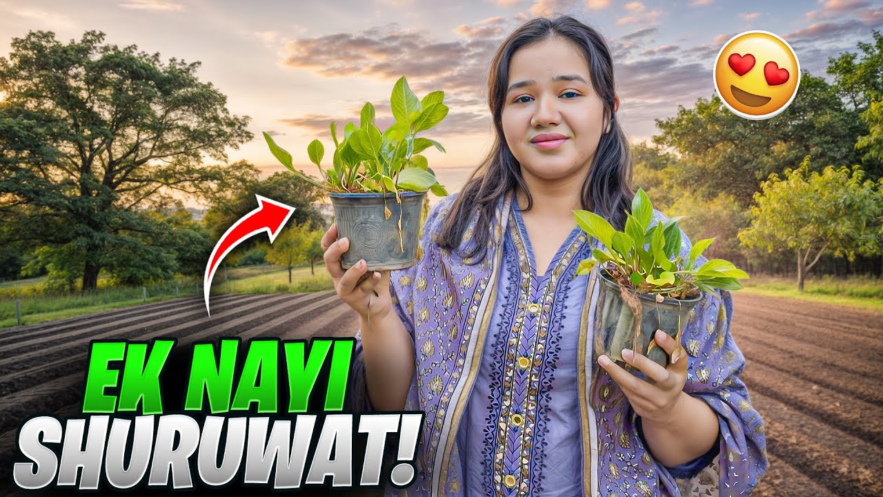 Ek Nayi Shuruwat | pody sookh gai 🥺 | Sitara yaseen vlog 